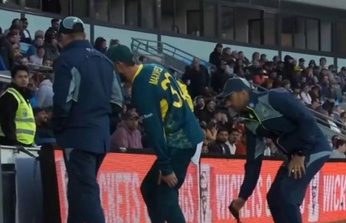 Glenn Maxwell hamstring injury, video, photo, Australia vs Pakistan third T20 international