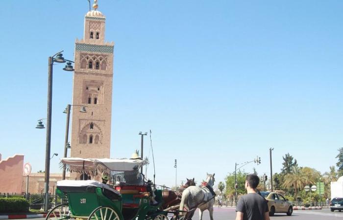 Highly anticipated, new urban planning documents for Marrakech currently being developed or finalized