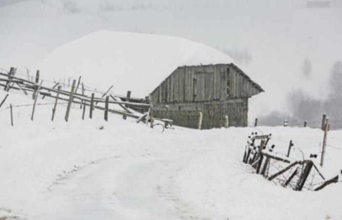 Weather of the week: day-to-day details of the hustle and bustle