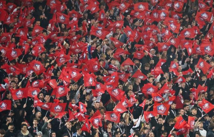 Red carpet of former players, DJ set by Martin Solveig, XXL tifo… we reveal the program for the 80th anniversary of LOSC for the match against Rennes