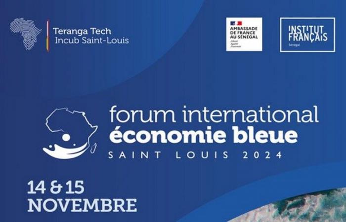 The International Forum on the Blue Economy in Senegal: a showcase for innovative initiatives in the Saint-Louis region – VivAfrik