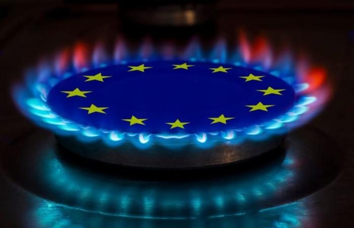 Gazprom could maintain gas deliveries to Austria | Montel News