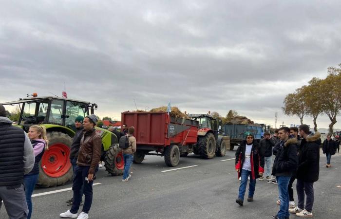 LIVE – Follow the mobilization of farmers in Albi