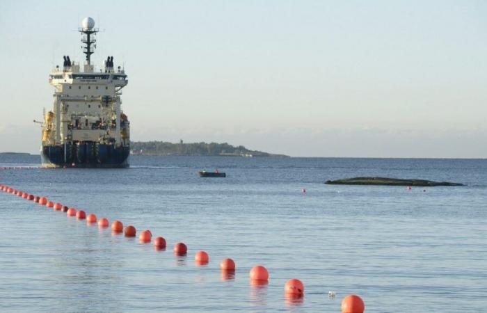 Germany and Finland ‘deeply concerned’ after submarine cable linking the two countries breaks