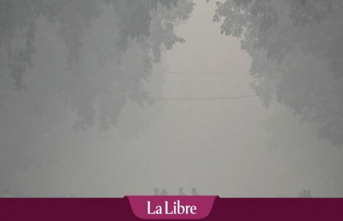 “The airpocalypse” returns to New Delhi amid general apathy