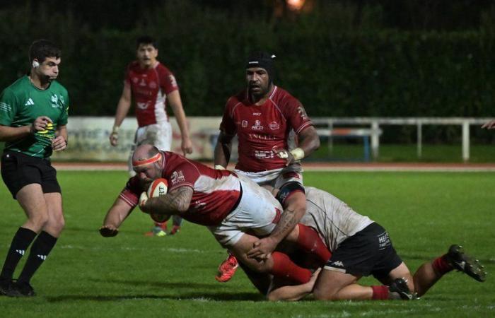 Amateur rugby: “A benchmark match for the future…” RC Auch really became aware of its strength with its victory against leader Niort