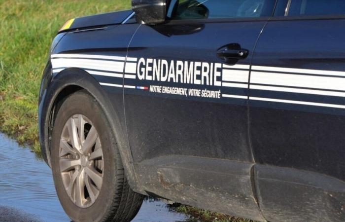 Theft of tools from craftsmen's vans in Calvados: a team arrested