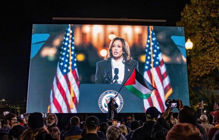 Does Kamala Harris owe her defeat to her support for Israel?