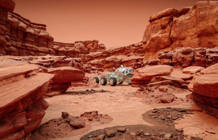 Oops, NASA May Have Inadvertently Killed Life Forms on Mars