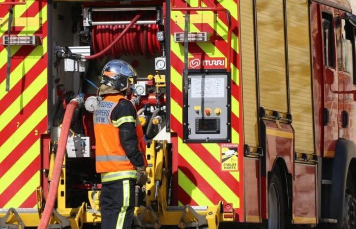 The trailer of a truck carrying compacted cardboard catches fire on the motorway in Sarthe