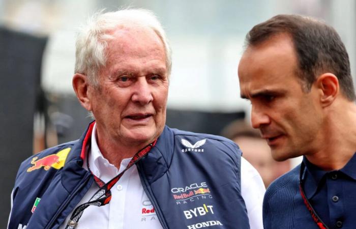 Helmut Marko dubs new race director