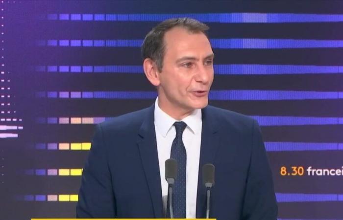 Emmanuel Macron “does not have the power to stop” the agreement between the EU and Mercosur, according to Laurent Jacobelli, spokesperson for the RN