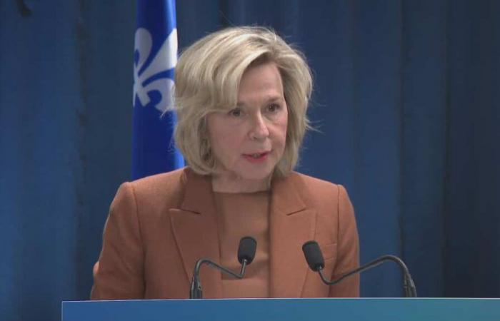 Access to abortion: Quebec wants to reaffirm “the fundamental right of Quebec women to choose”