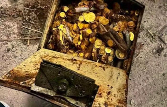 Austria: Not curious enough, the worker misses a treasure of 30 kilos of gold coins