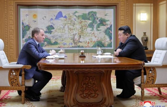 Kim Jong-un meets with Russian natural resources minister