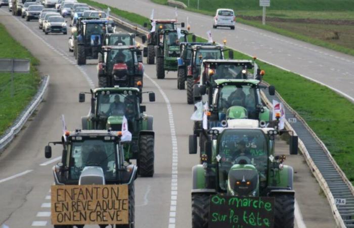 Live. Follow the day of mobilization of farmers in Alsace