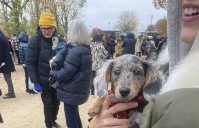 “Paris Sausage Walk 2024”: 500 dachshunds paraded