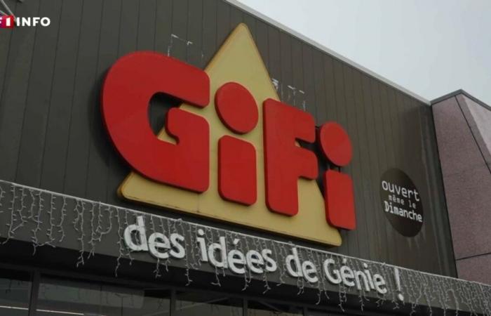 Sale of Gifi: the former discount king victim of the price war