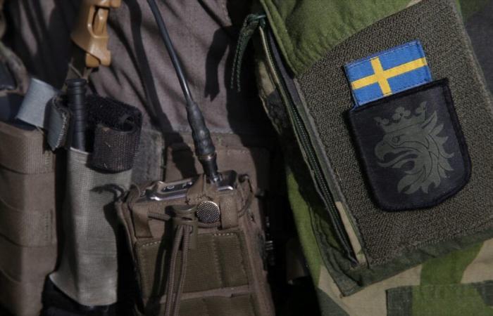 Why are the Swedes and Finns encouraged by their governments to prepare for possible war?