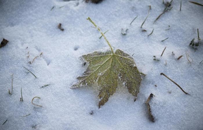 Winter storm over Europe: It will be stormy on Tuesday – then snow will fall “all the way down”