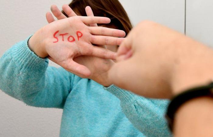 Broken nose, strangulation, leaking bladder… He was sentenced to 18 months in prison for domestic violence by the Carcassonne judicial court