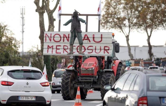 The EU’s agreement with Mercosur provokes the anger of French farmers and the rejection of an Italian minister