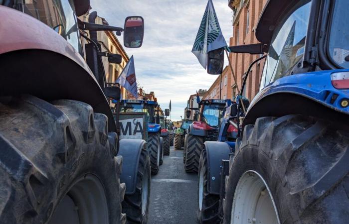 Mobilization of farmers: what to expect this Monday in Albi?