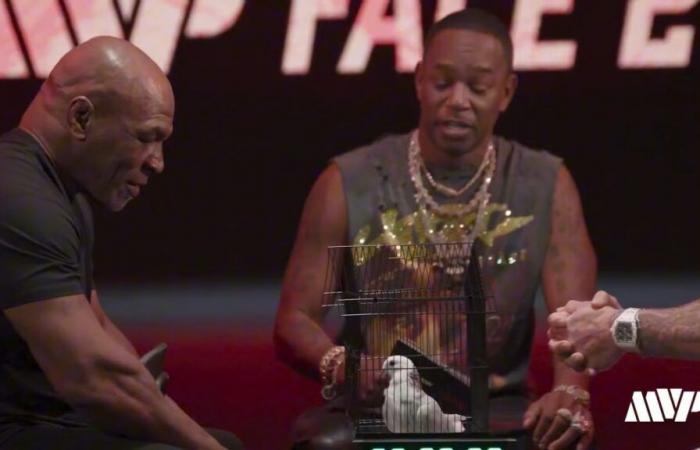 The bizarre incident behind the scenes of the fight between Jake Paul and Mike Tyson involving a pigeon. –