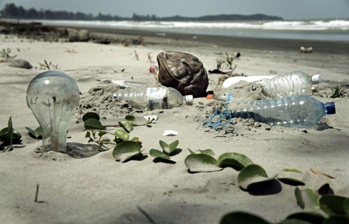 A parliamentary report warns about the true price of plastics for society