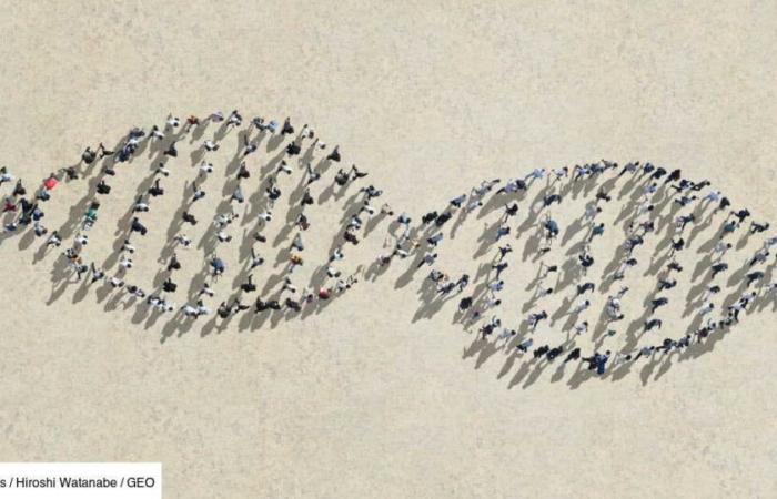 An extinct (and mysterious) species has left its genetic imprint on humans