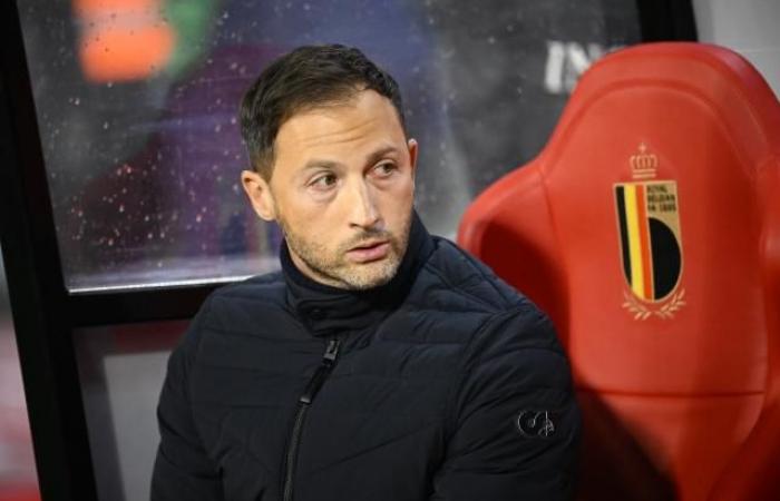 “I am always the man for the job”, Domenico Tedesco, Belgium coach