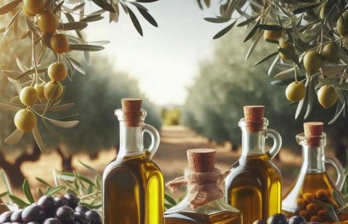 Olive oil prices monitored more closely by Brussels