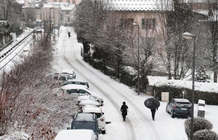 it will snow in France in these 7 departments from this Thursday, according to Météo France