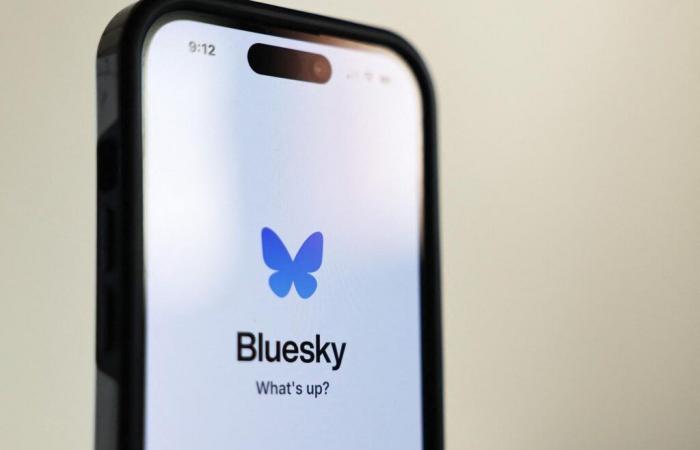 After the election of Donald Trump, Bluesky, competitor of X, is preparing to exceed 20 million users