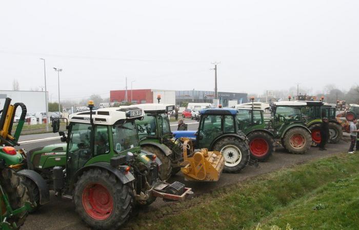 DIRECT. Anger of farmers: roundabouts, roads, prefectures… follow their mobilization this Monday, November 18