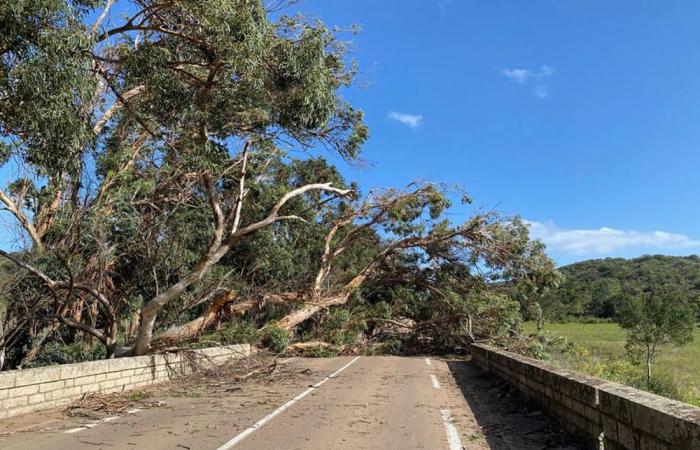 Haute-Corse placed on yellow alert due to an episode of strong wind