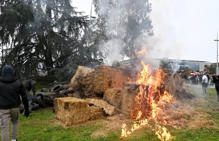 Anger of farmers: the list of roundabouts occupied by demonstrators in Haute-Garonne this Monday evening