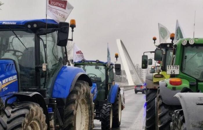 Direct: Loiret farmers install a filter dam on the Europe Bridge in Orléans