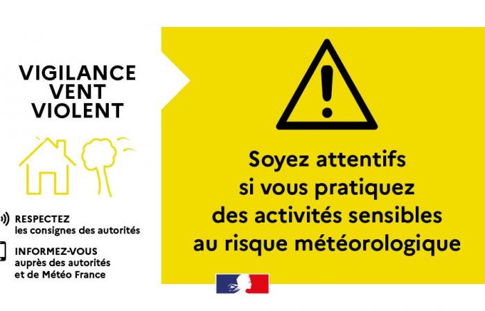 Yellow Vigilance SMS “Wind” from Tuesday 19 at 8 p.m. to Wednesday 20 November 2024 at 6 p.m. – Weather vigilance – Natural risks – Risk prevention – Ecological transition, environment and risk prevention – State actions