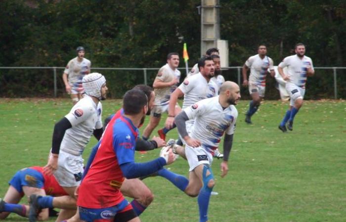 Amateur rugby trophies in Tarn-et-Garonne 2024: vote for the best player in Regional 2 and Regional 3