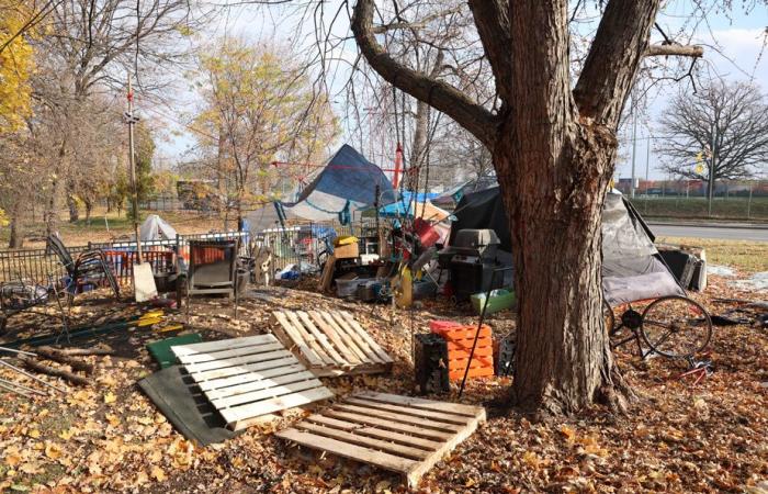 Roaming | Imminent dismantling of part of the Notre-Dame Street encampment