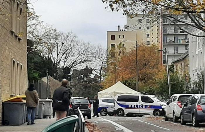 the author of the stabbing arrested at Paris-CDG airport