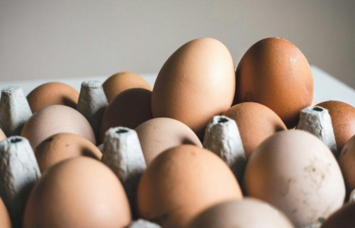 Scientists have studied the effect of eggs on the brain and cholesterol, here are their results