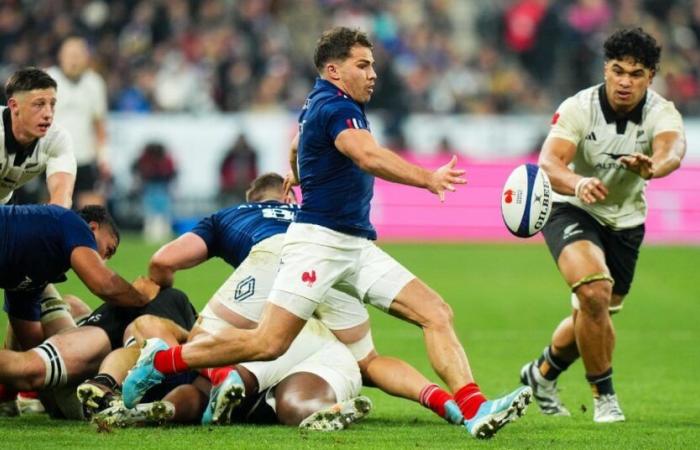 XV of France, big controversy after the match against the All Blacks