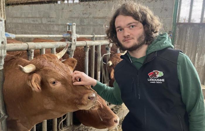 at the head of a cattle farm at 22, Lucas Boulat, in praise of courage