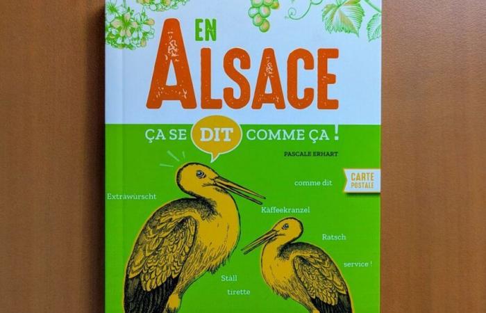 Win the book “In Alsace, it’s said like that”