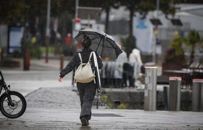 strong gusts, rain, snow up to the plains… What should we expect between now and the end of the week?