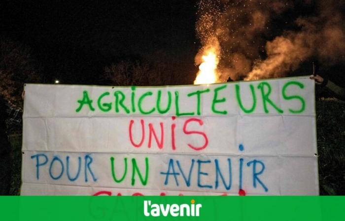 “Death is in the meadow”: French farmers demonstrate this Monday against the EU-Mercosur agreement (videos)