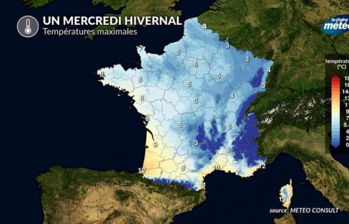 Weather of the week: day-to-day details of the hustle and bustle