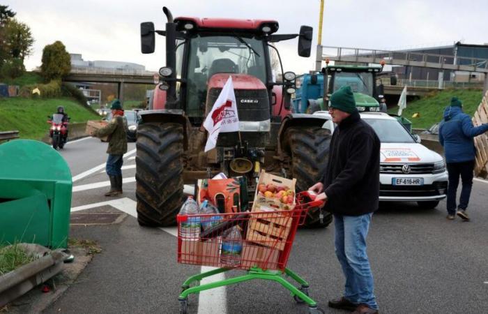 LIVE – Anger of farmers: “85 demonstration points” across France, according to the FNSEA